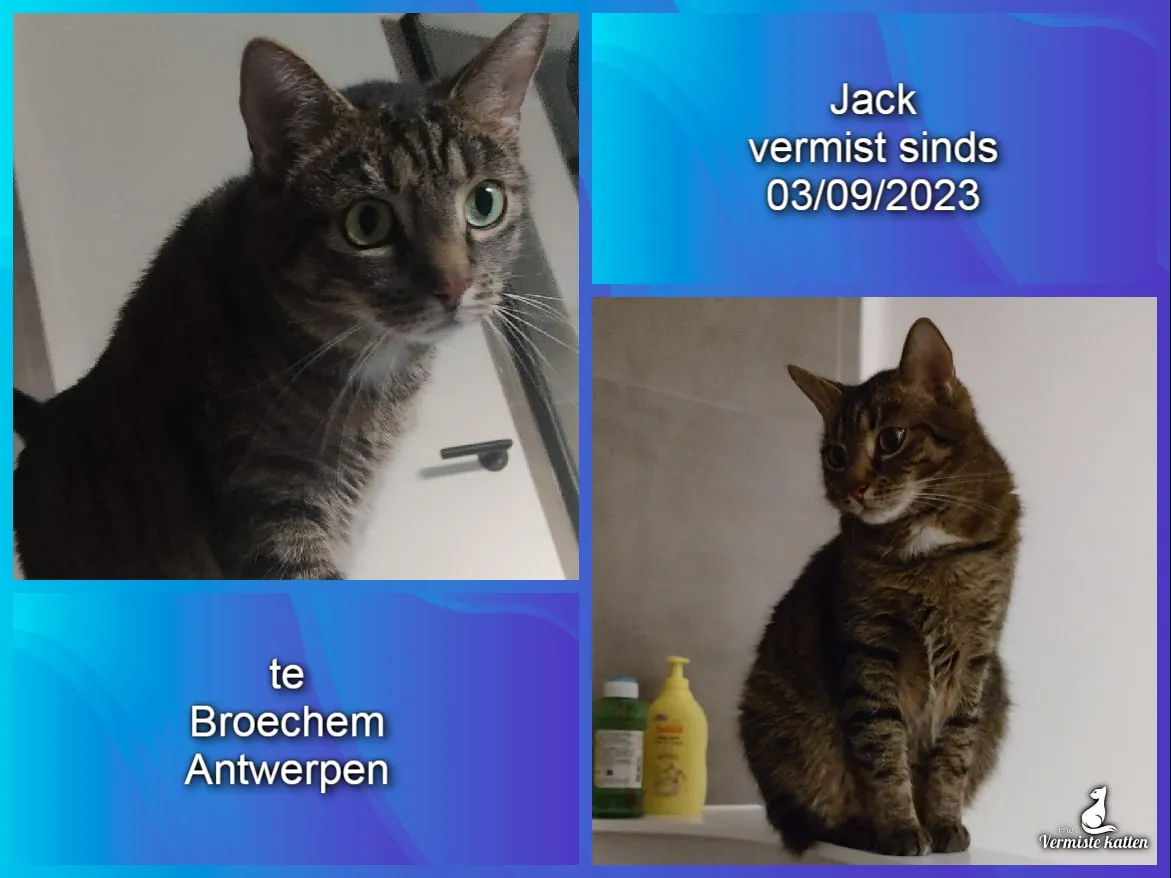 Jack