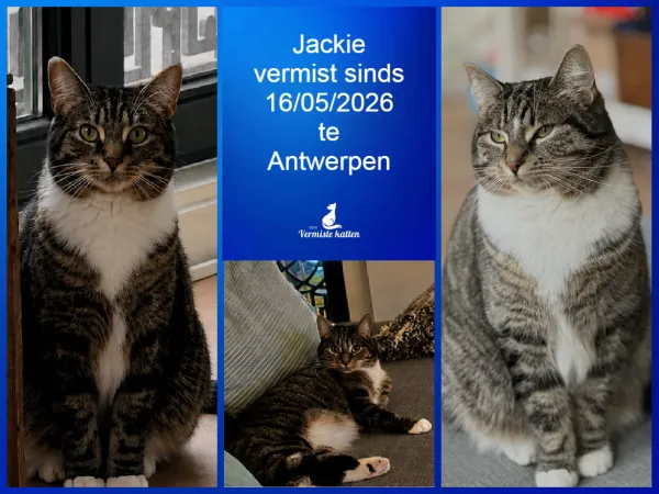 Jackie