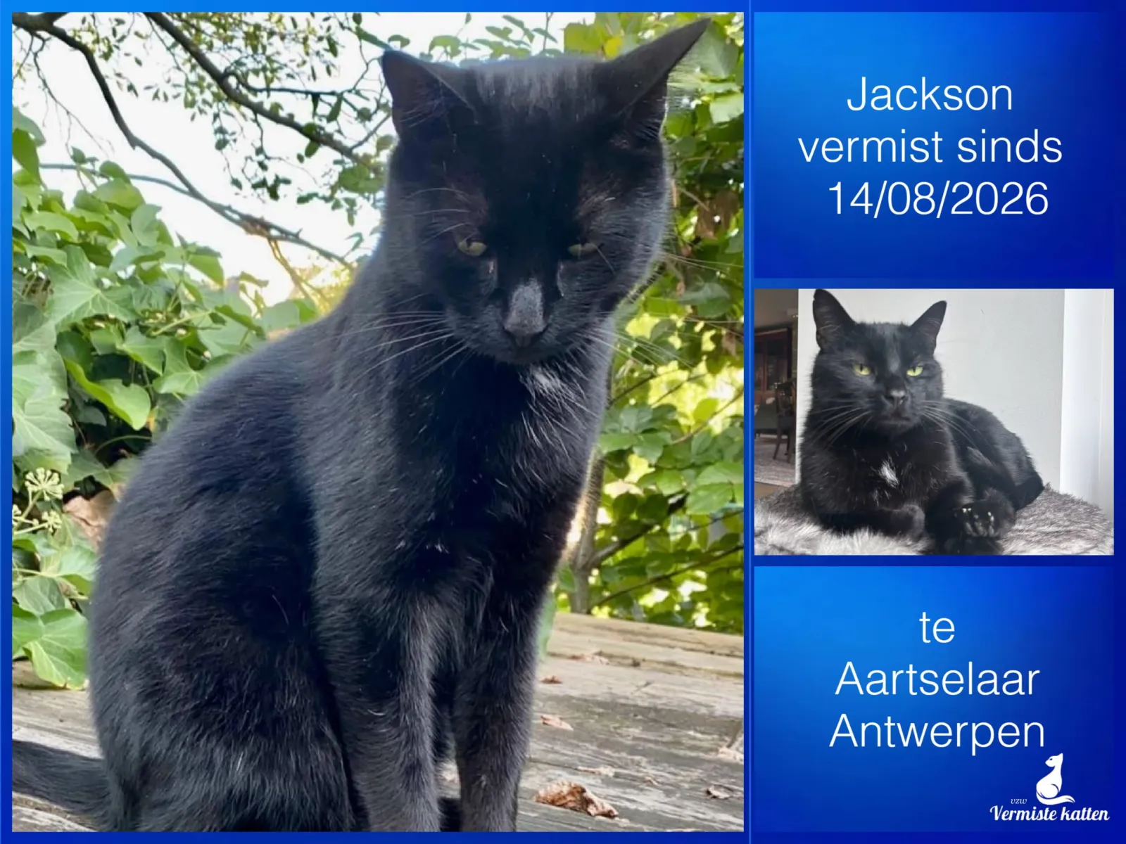 Jackson