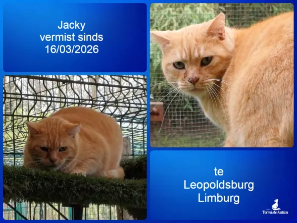 Jacky