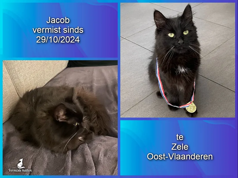 Jacob