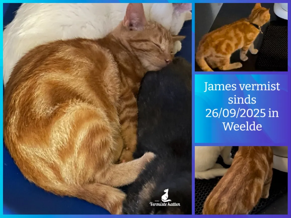 James