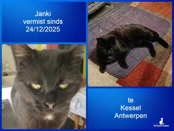 Janki