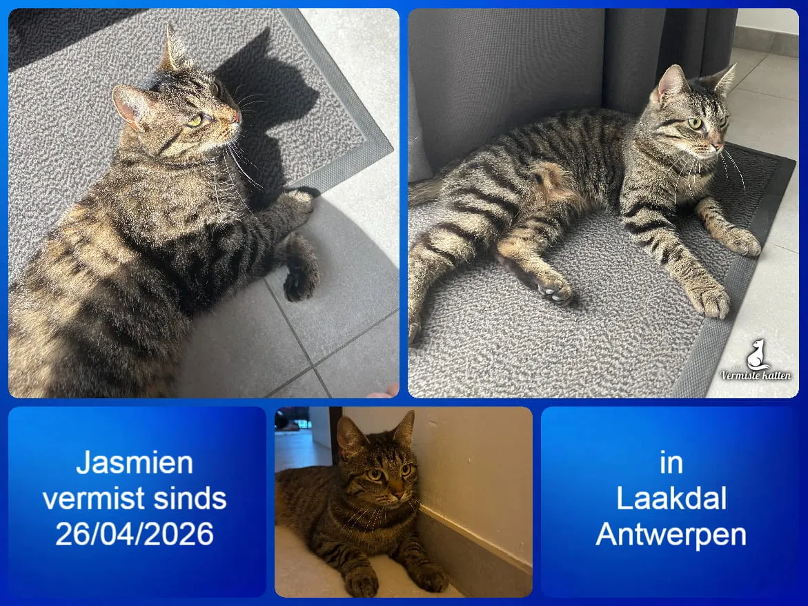 Jasmien