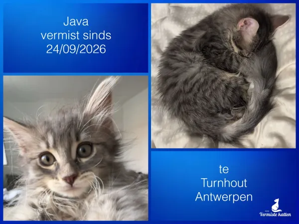 Java