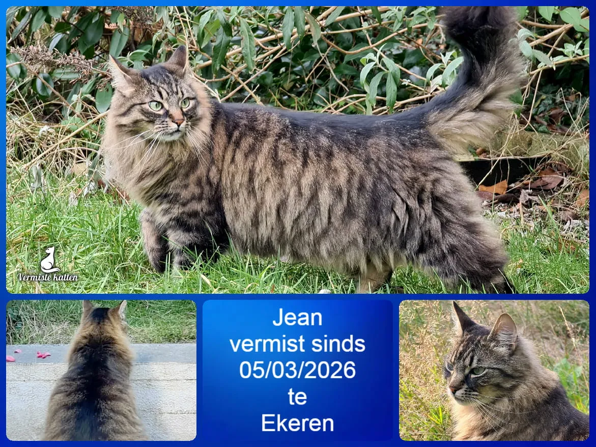 Jean
