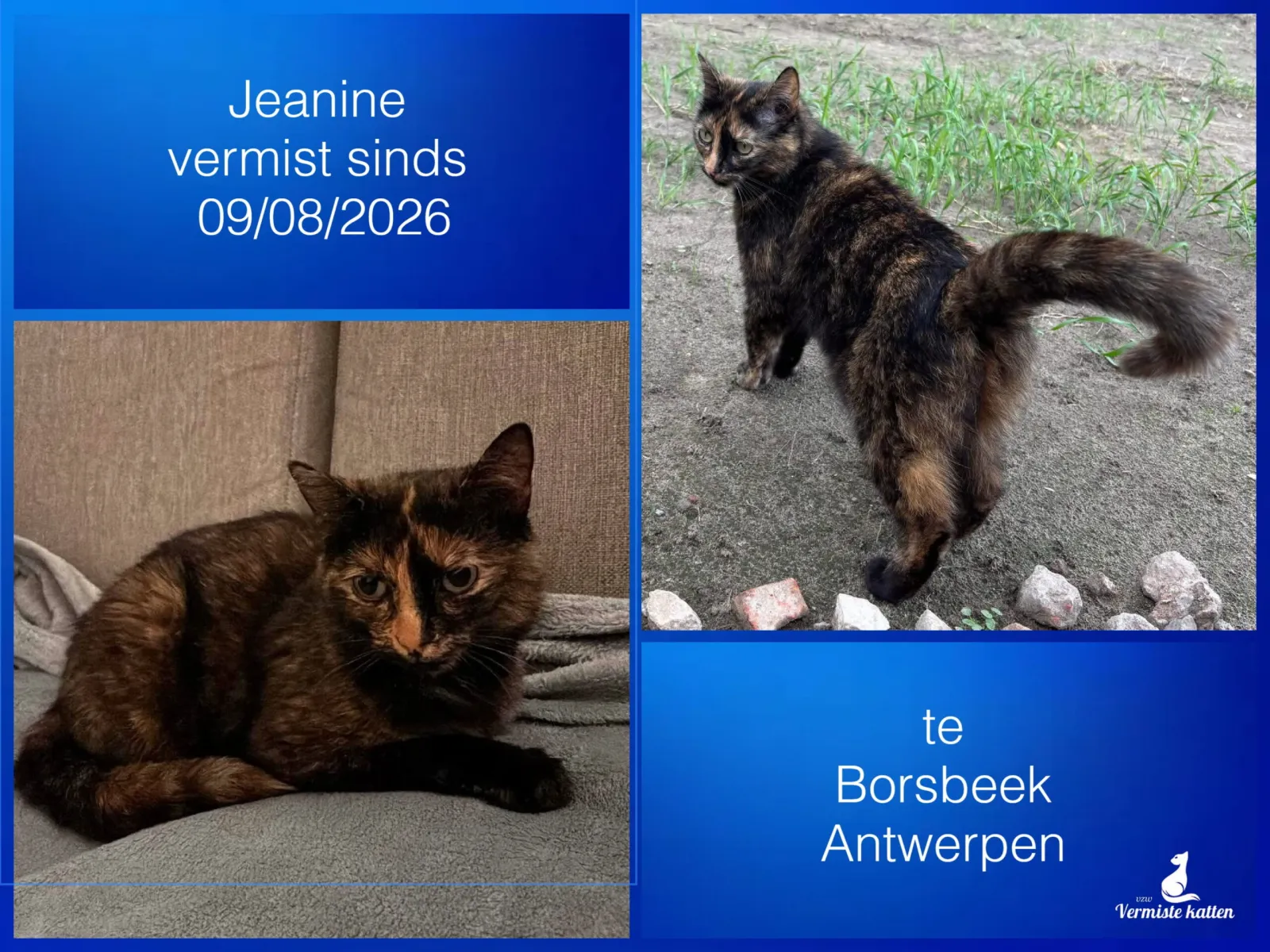 Jeanine