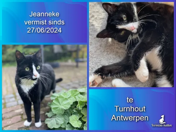 Jeanneke