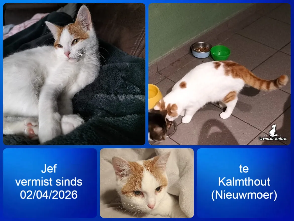 Jef