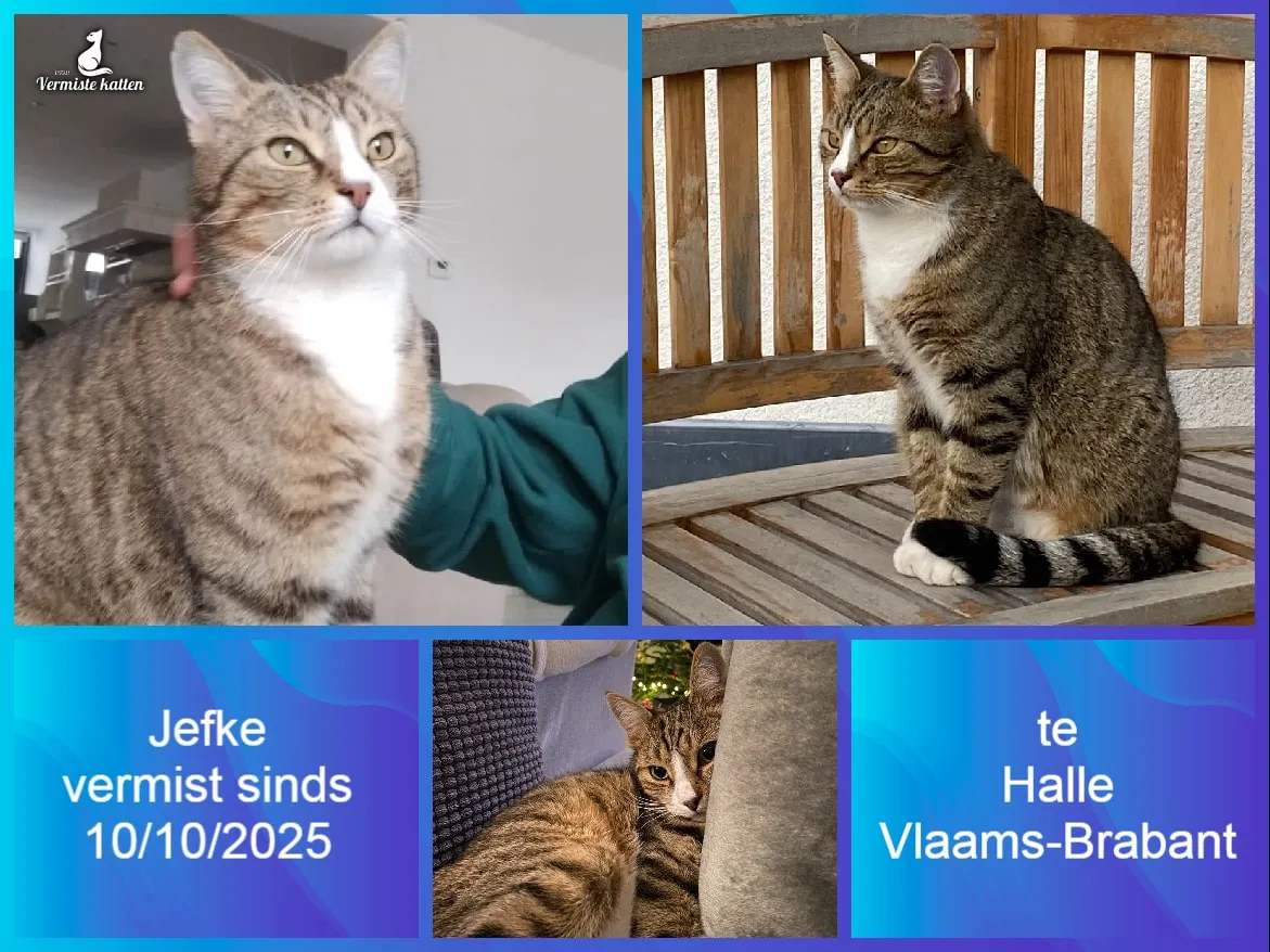 Jefke