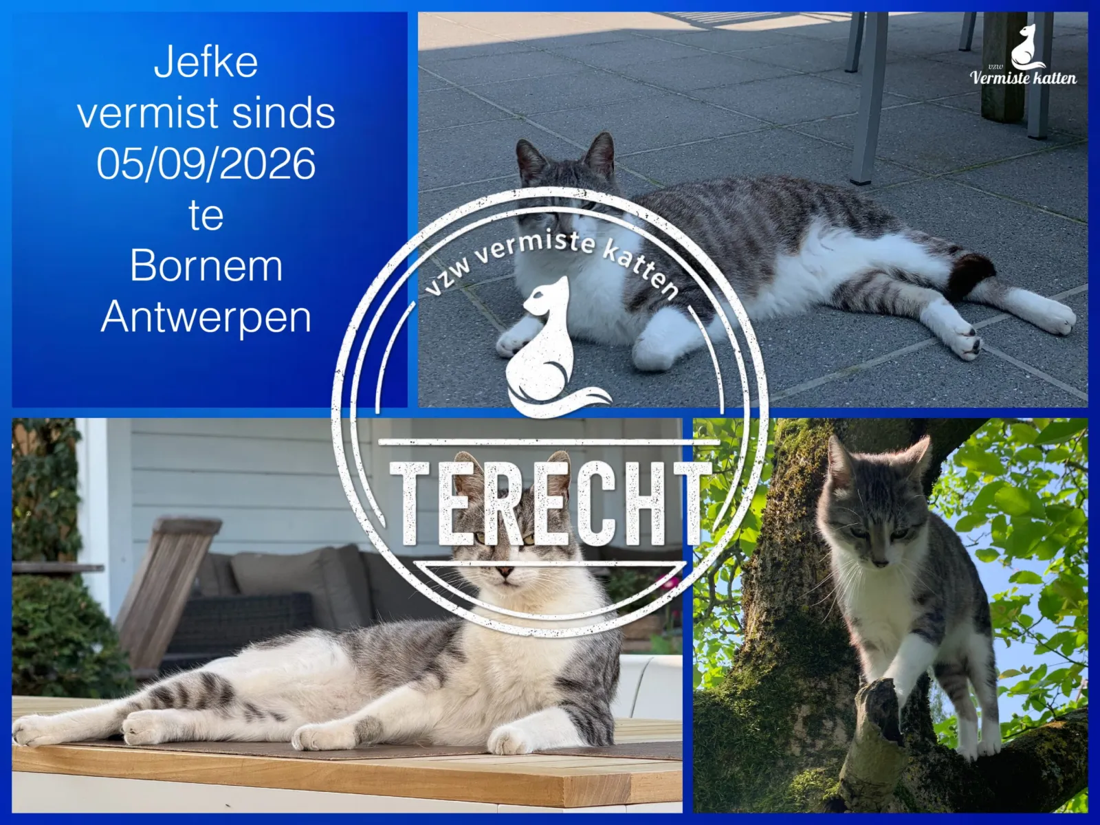 Jefke