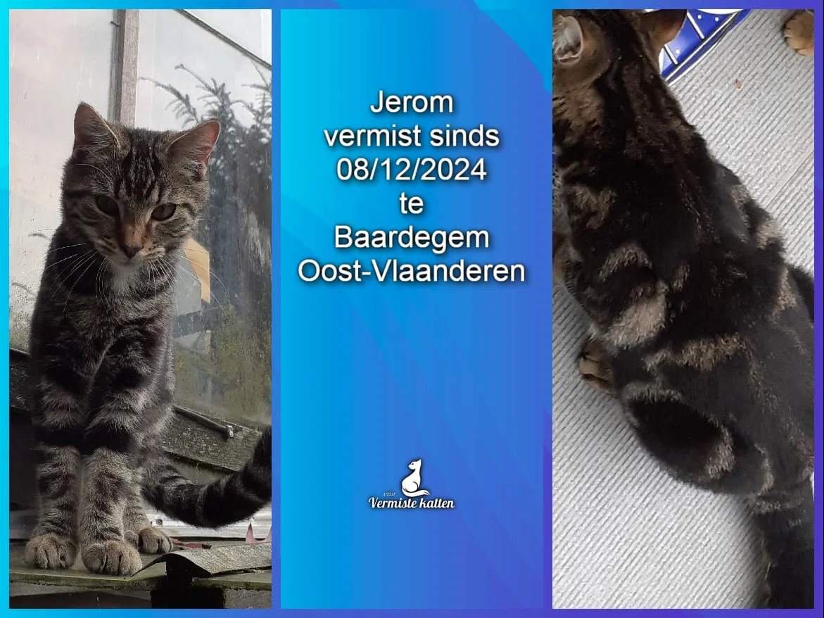 Jerom