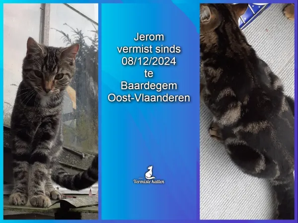 Jerom