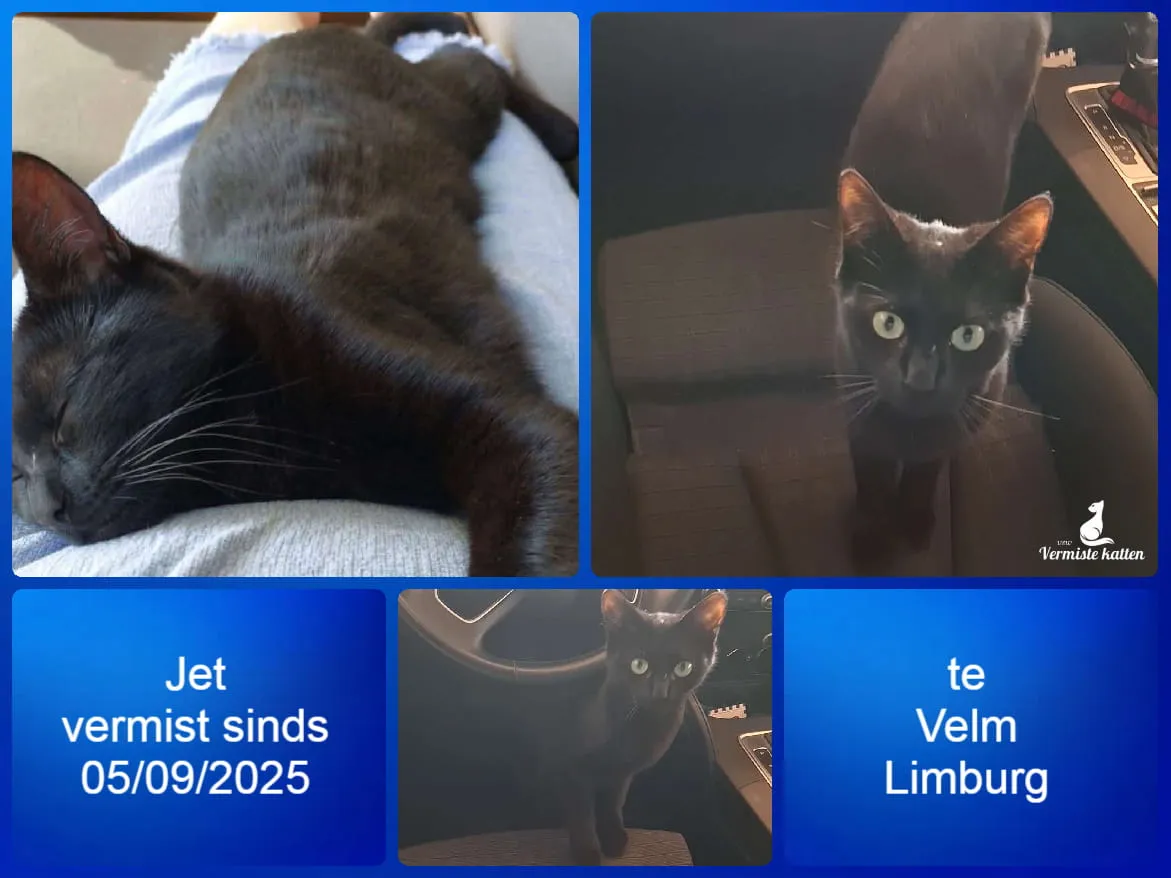 Jet