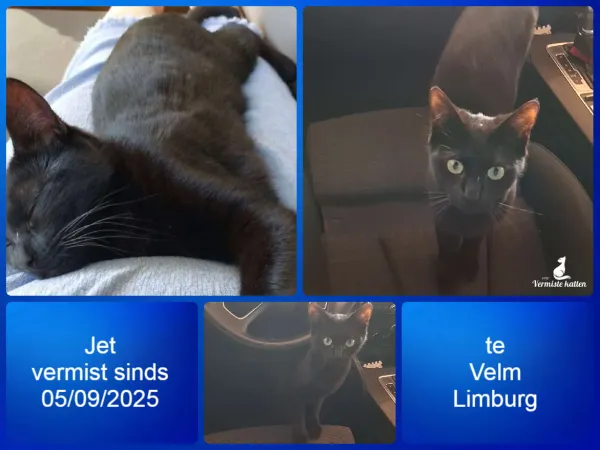 Jet