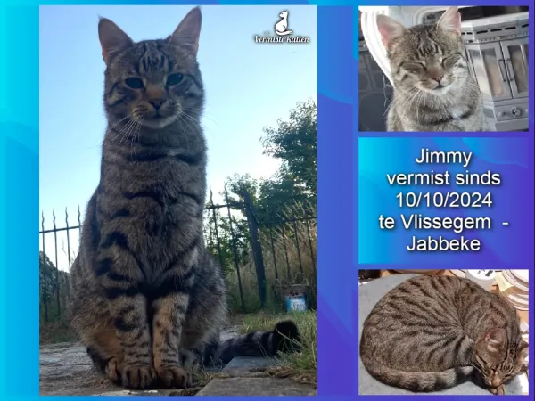 Jimmy