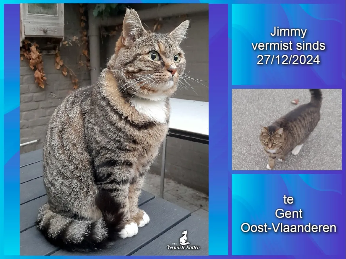 Jimmy