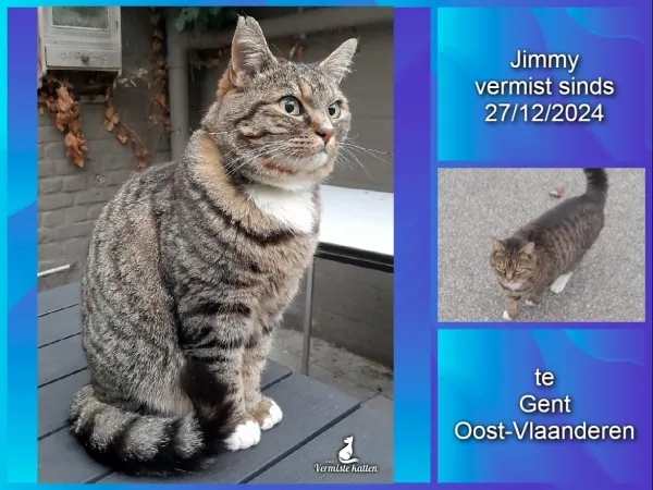 Jimmy