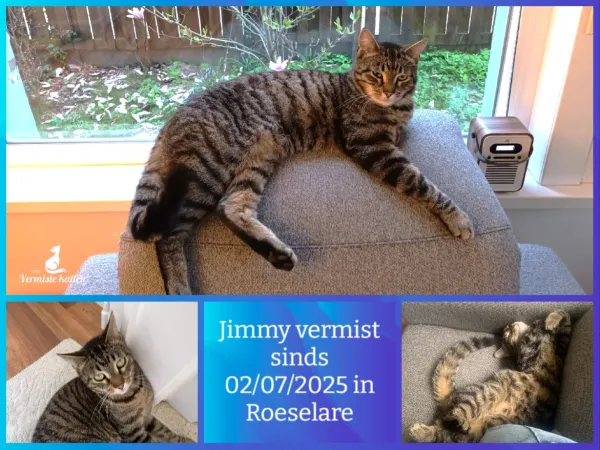Jimmy