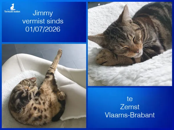 Jimmy