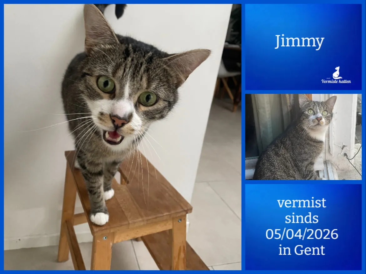 Jimmy
