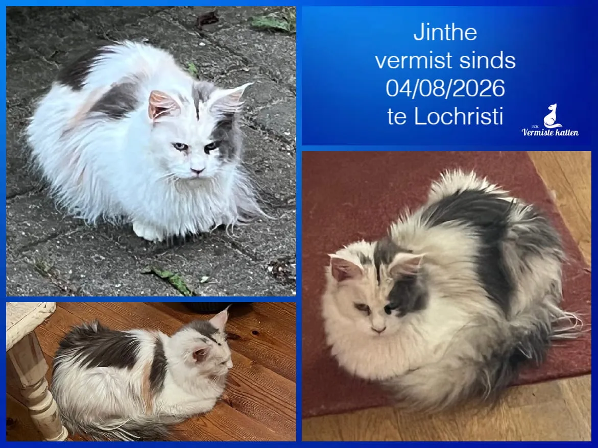 Jinthe