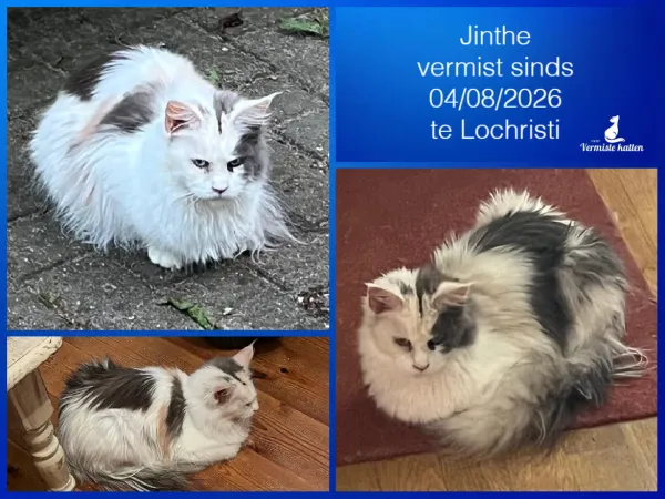 Jinthe