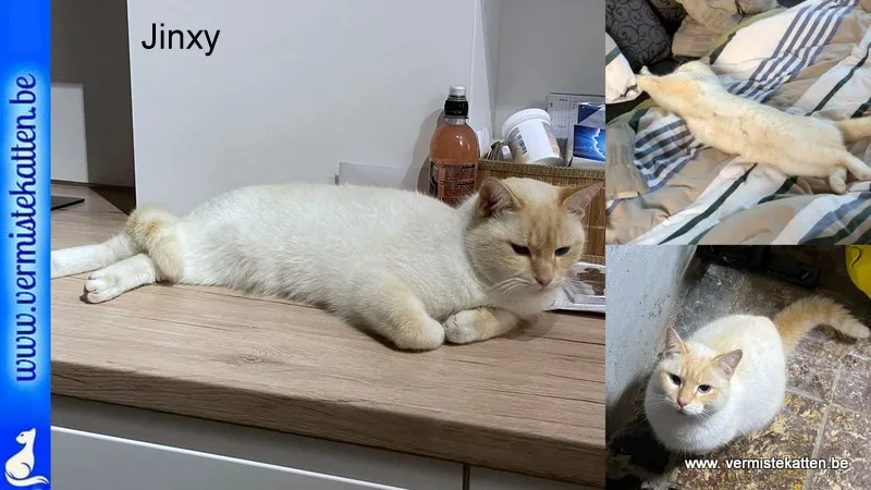 Jinxy