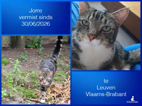 Jorre