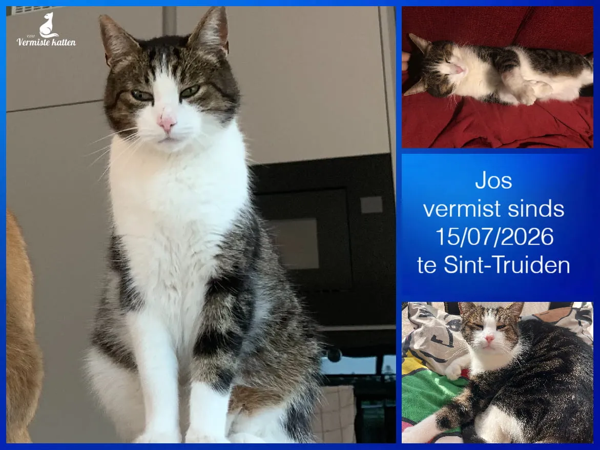 Jos
