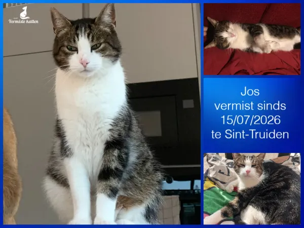 Jos