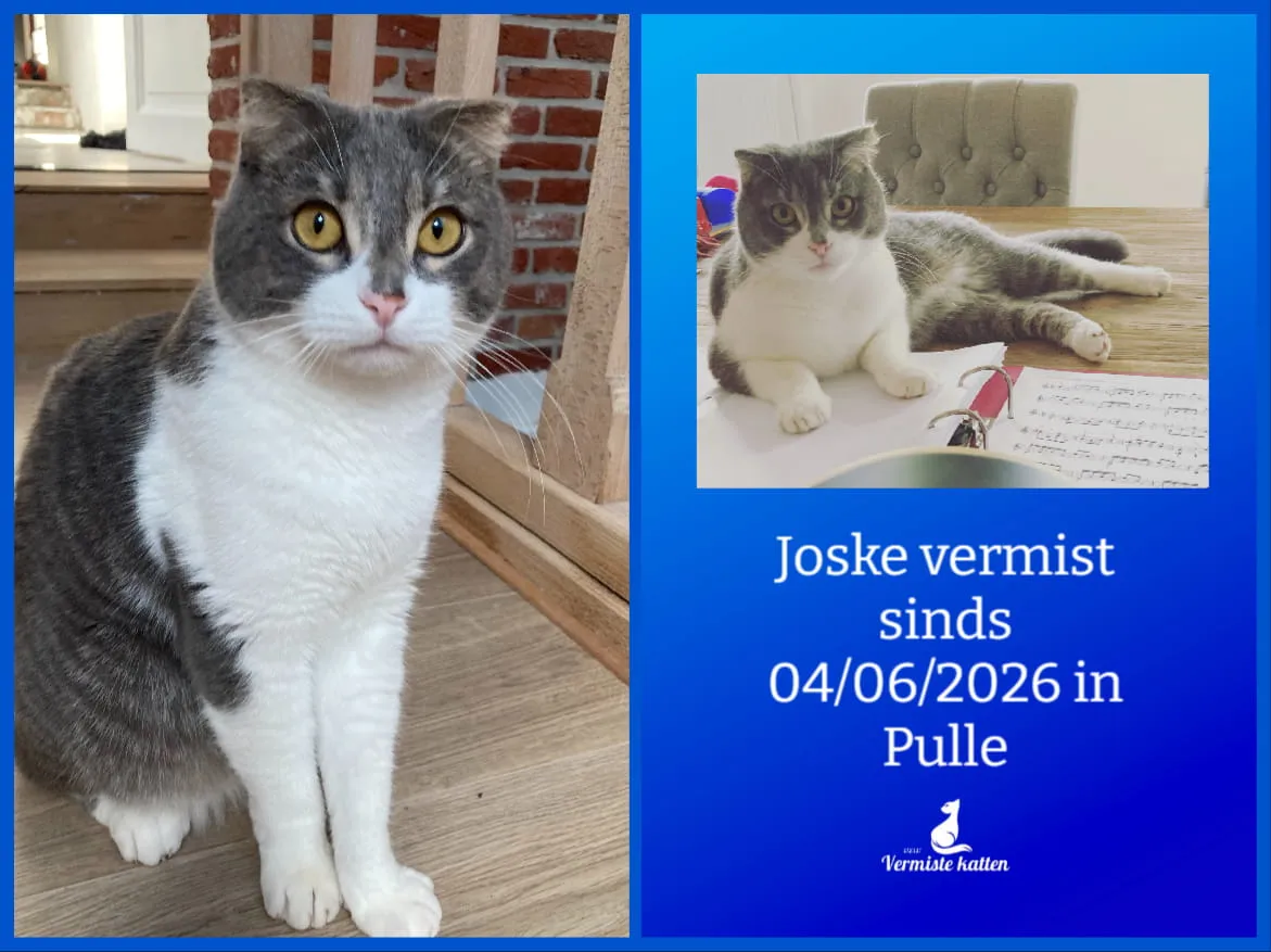 Joske