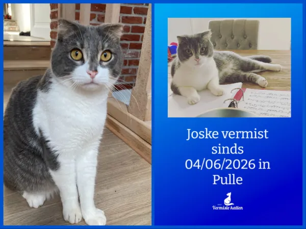 Joske