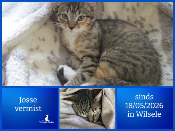 Josse