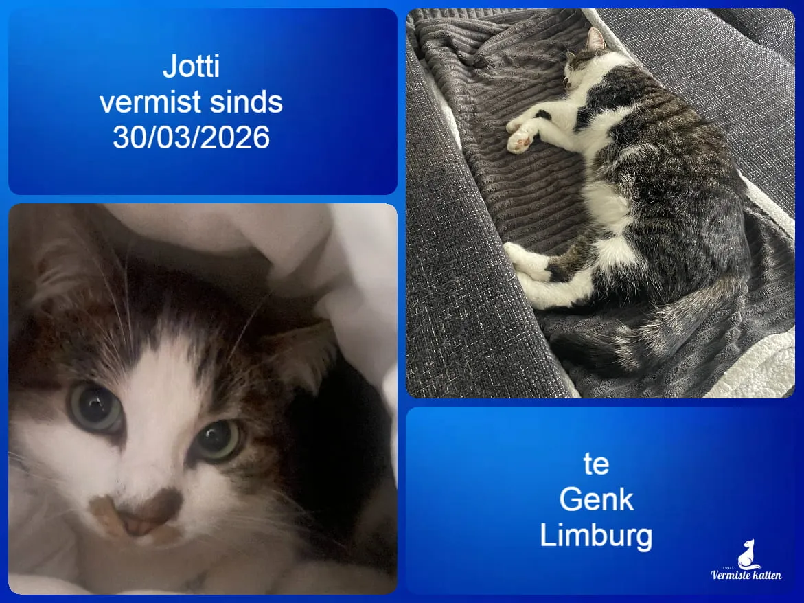 Jotti