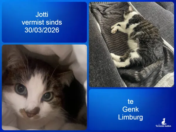Jotti