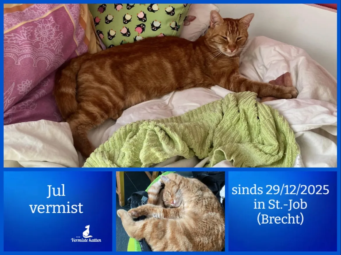 Jul