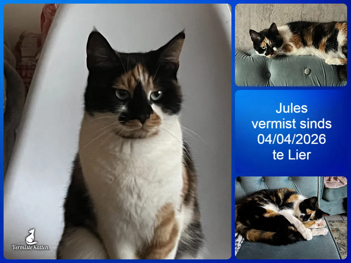 Jules