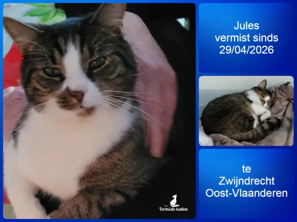 Jules