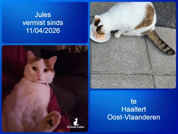 Julles