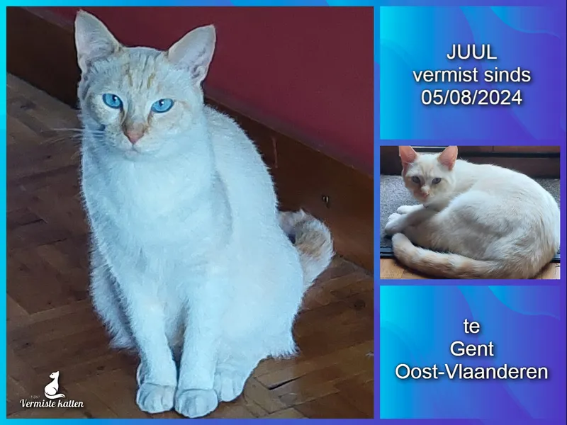 JUUL