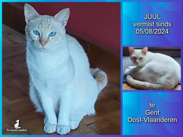 JUUL