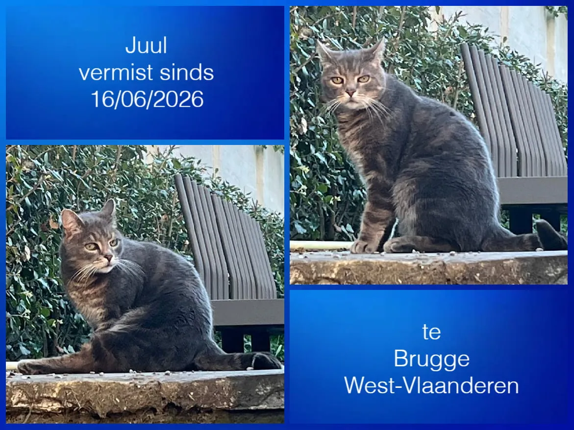 Juul