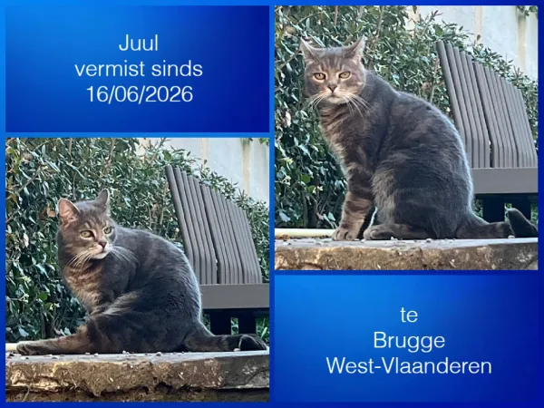 Juul