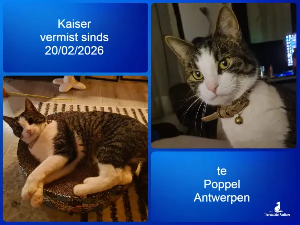 Kaiser