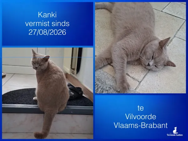 Kanki