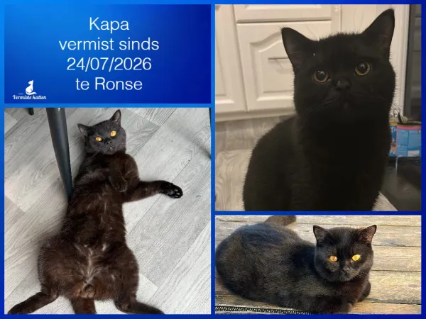 Kapa