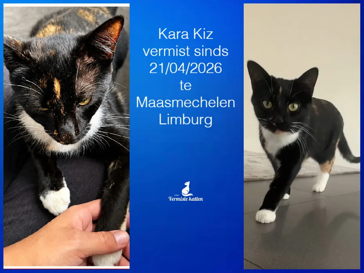 Kara kiz