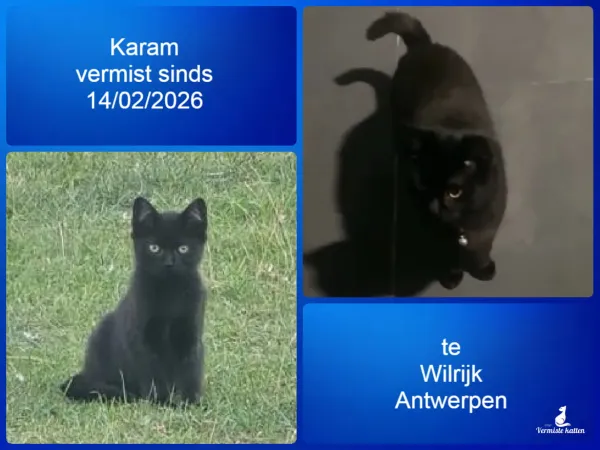 Karam