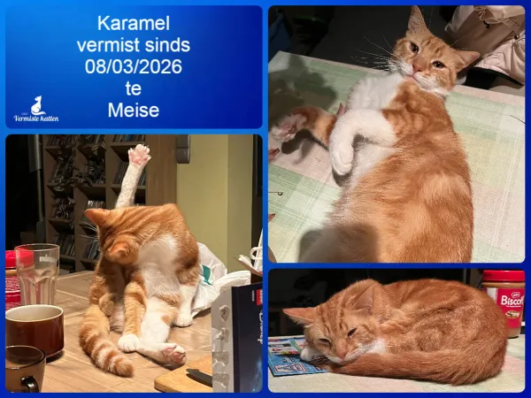 Karamel